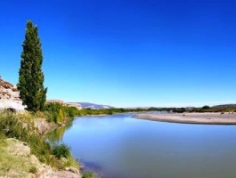 Las Plumas / Chubut - 60000 hectares