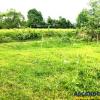 20,000 sqm in the story of nature, Bran, Brasov