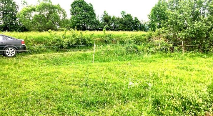 20,000 sqm in the story of nature, Bran, Brasov