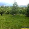 20,000 sqm in the story of nature, Bran, Brasov