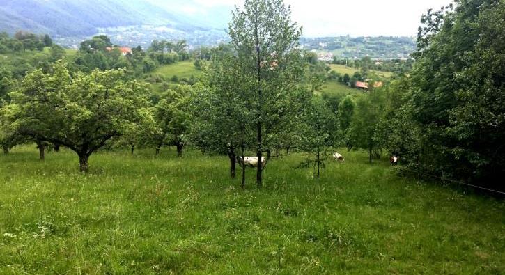 20,000 sqm in the story of nature, Bran, Brasov