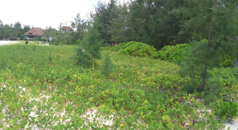 SAND BEACH PLOT FOR SALE