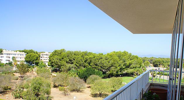 Large penthouse. Large terrace. Little price.