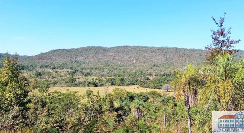 Sale of farm with exuberant beauty