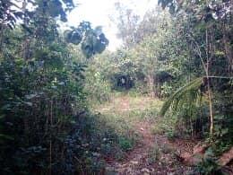 For sale land Riviera Maya.