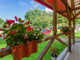 View Movie !! PLAI..BASM..VIS ..! The answer is lucky owner has future