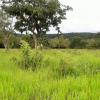 A must-see, sale of a farm in Pirenópolis