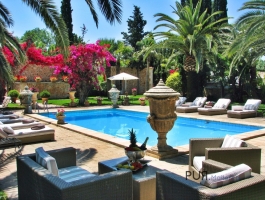 You see the pictures. Possible uses without end. Events. Weddings. Horses.