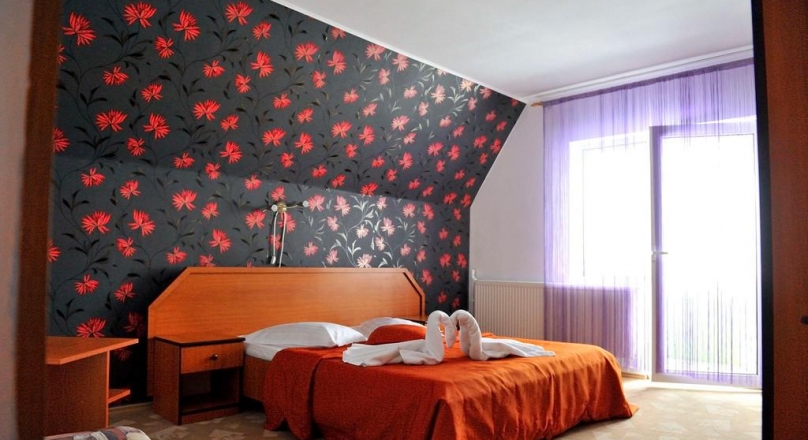 SEE VIDEO !! Romantic pensions, with business in progress, in the arms of nature, Predeal, Brasov