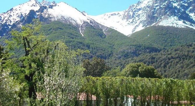 BARILOCHE - RÍO NEGRO - SPECTACULAR FRACTION OF 15 HAS. - ZONA VILLA LAGO MASCARDI - IDEAL TOURISTIC DEVELOPMENT / REAL ESTATE