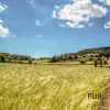 Sant Llorenc. Finca in a modern country style. Very stylish. With its own vineyard.