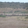 PATAGONIA ARGENTINA - EXCELLENT BUSINESS - Stay of 20,000 hectares