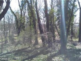 Lot for sale in ALEXANDRIA