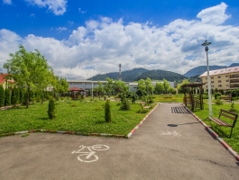 Opportunity! Special property + commercial space, Sacele, Brasov