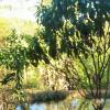 Unmissable, new exclusivity in Pirenópolis