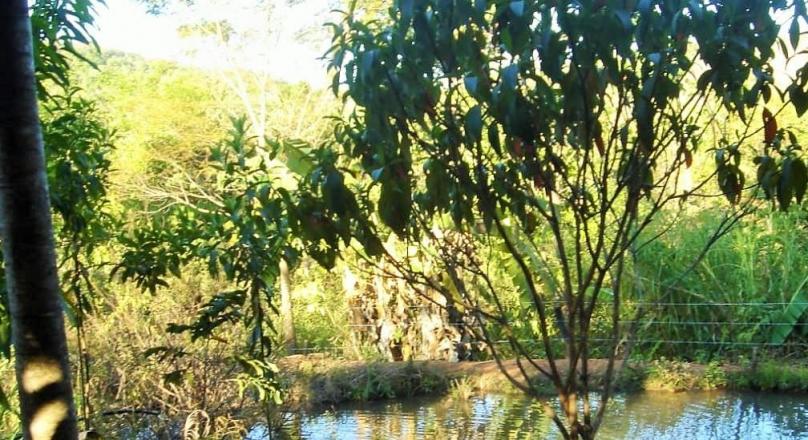 Unmissable, new exclusivity in Pirenópolis