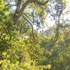 Unmissable, new exclusivity in Pirenópolis