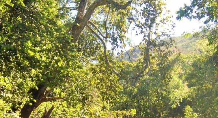 Unmissable, new exclusivity in Pirenópolis