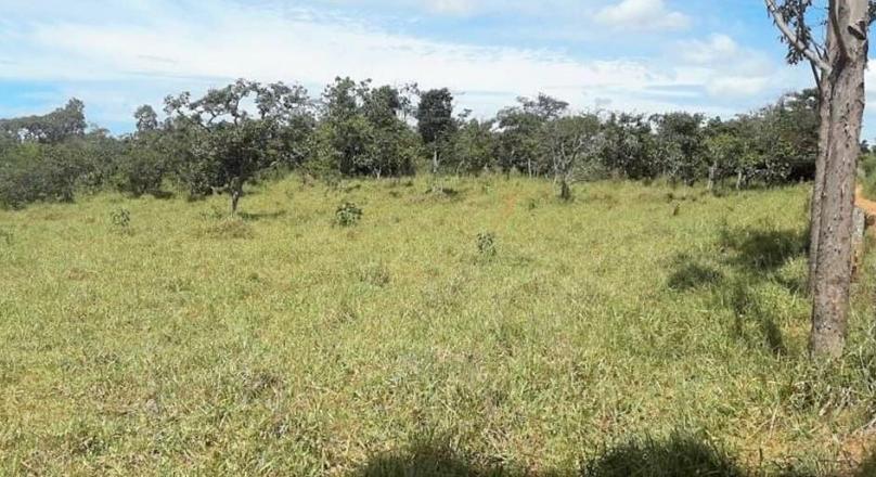 the sale of six plots of land near Pirenópolis