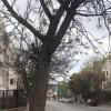 3 bedroom apartment for sale in Neuquén