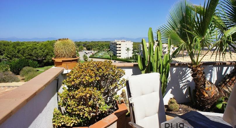 Large penthouse. Large terrace. Little price.