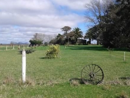30 hectares - Balcarcea