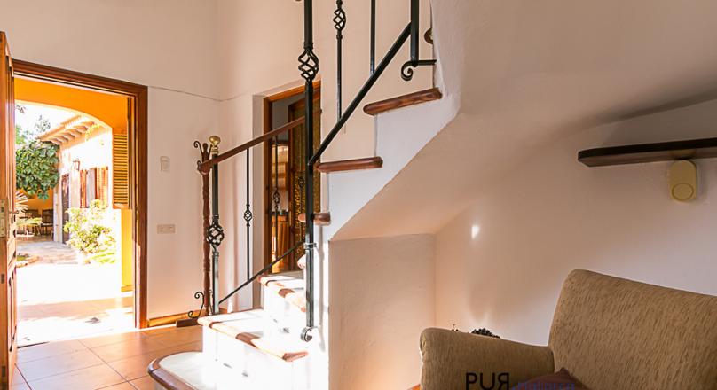 Palma. Establiments - 10 minutes to the Paseo in Palma. In the middle of nature. Mallorca PUR.