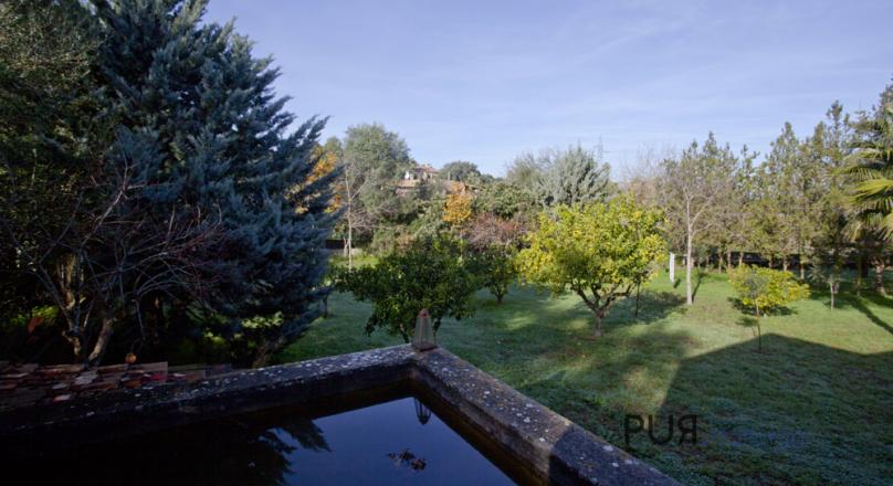 Pollenca. Finca. Nestled in an environment of sea and forests. Holiday rental license.