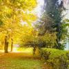Distinction in versatile composition, in the caress of autumn colors, Braso