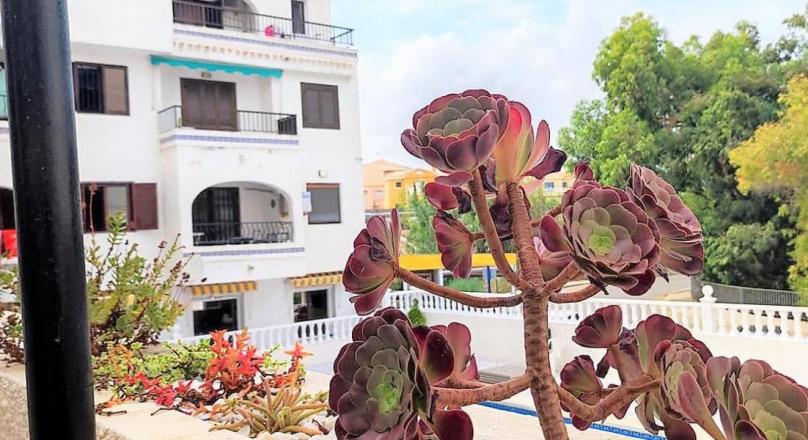 Apartment for sale in Playa Flamenko, Torrevieja