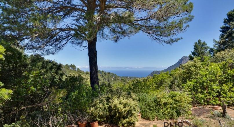 Feel the other Mallorca. The North. In the mountains at Valdemossa. PURE view.