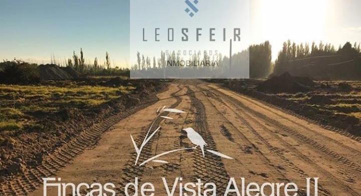 LANDS IN FINCAS DE VISTA ALEGRE