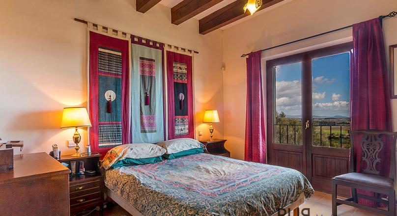 Really stately and sophisticated. With a lot of eyes. Finca only 20 minutes from Palma.