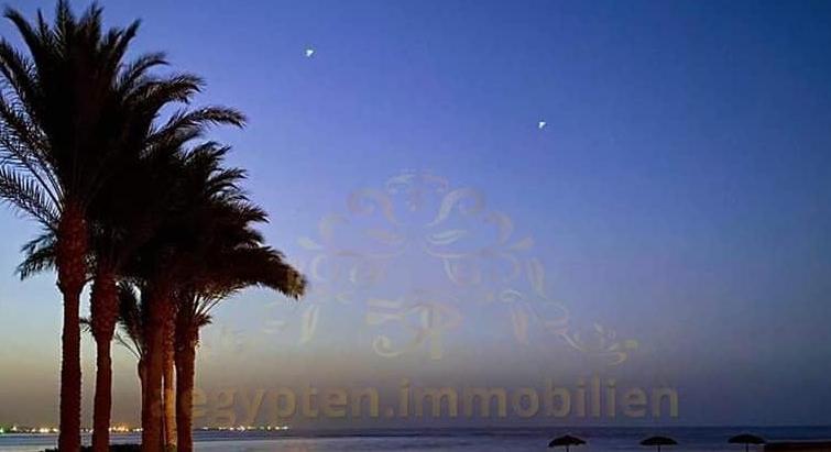 For rent sea view - apartment 1m to the beach  