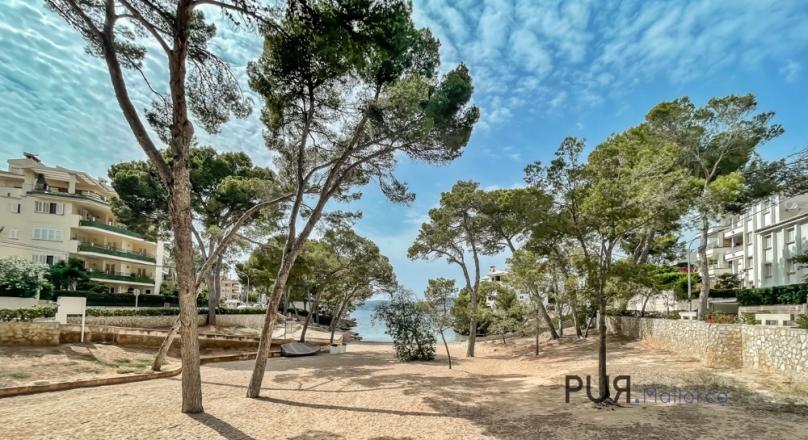 Kleines Penthouse in Santa Ponsa