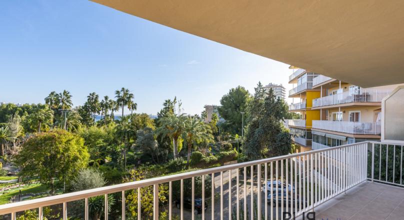 Palmanova. Apartment. With ocean view. Fully renovated. And only a few meters from the sea. 