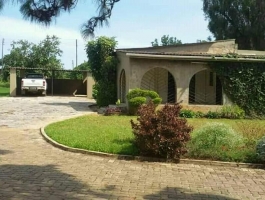 Three bedrooms for rent