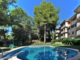 Paguera. A big apartment. Well maintained. Only 10 minutes from the boulevard and the beach.