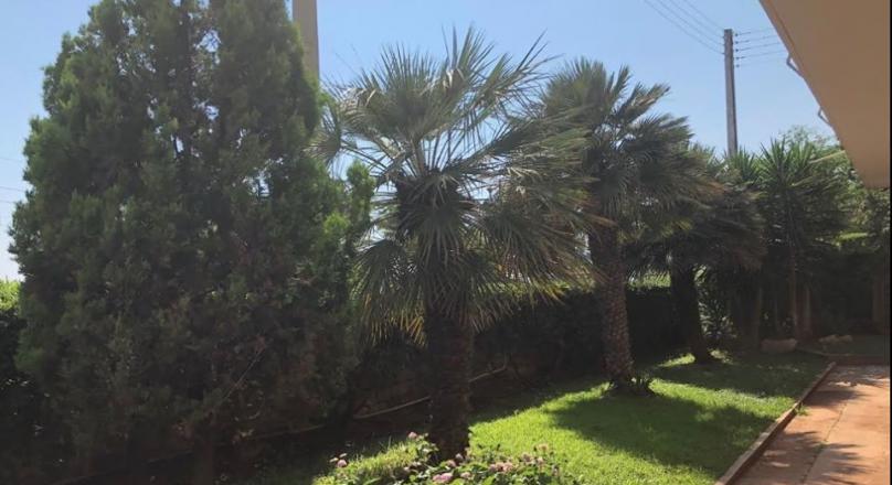 PALEO FALIRO Eden, apartment of 104 sqm, on the seaside road, suitable for business use