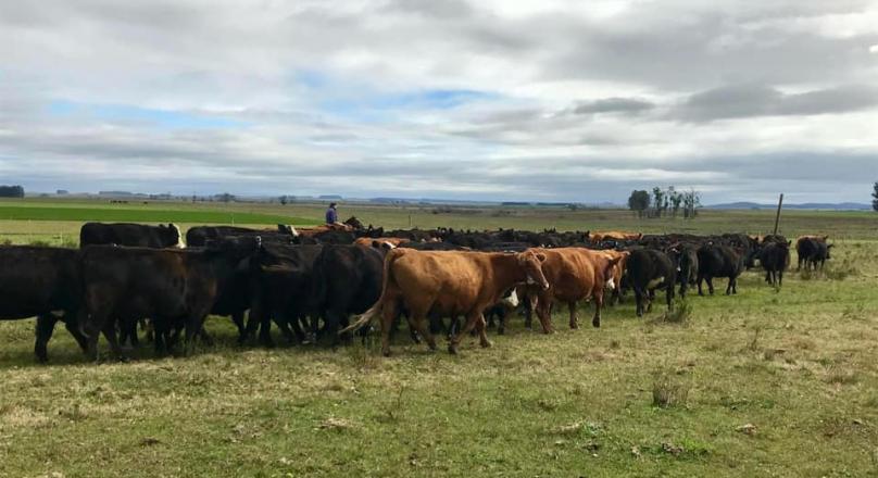 REAL ESTATE BUSINESS OPPORTUNITY IN URUGUAY