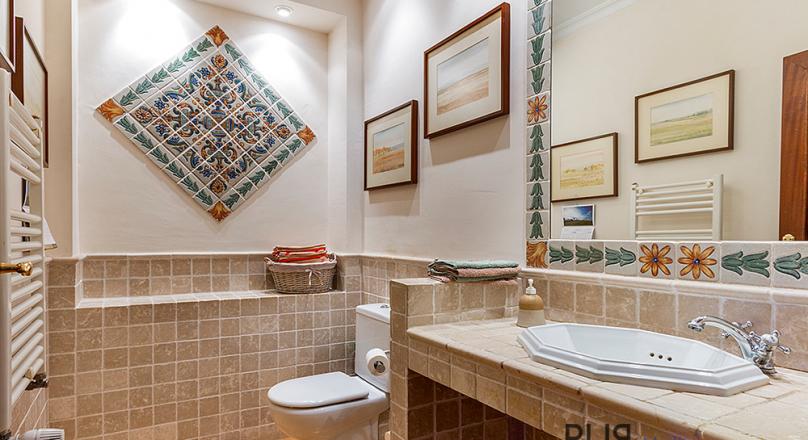 Really stately and sophisticated. With a lot of eyes. Finca only 20 minutes from Palma.