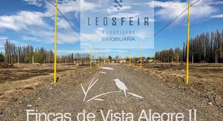 LANDS IN FINCAS DE VISTA ALEGRE