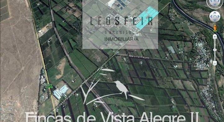 LANDS IN FINCAS DE VISTA ALEGRE