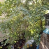 EXARCHEIA LONG TERM RENTAL 450€