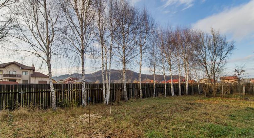 Great villa on land 1.500mp, decorative pool, Harman, Brasov