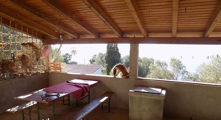 Cottage close to the sea with a covered terrace
