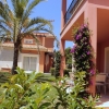 A dream plant. You feel like you are in a 5 star resort. Do not have to worry about anything.