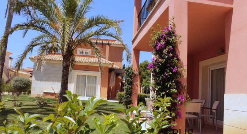 A dream plant. You feel like you are in a 5 star resort. Do not have to worry about anything.