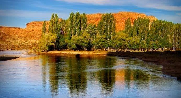 Las Plumas / Chubut - 60000 hectares