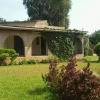 Three bedrooms for rent